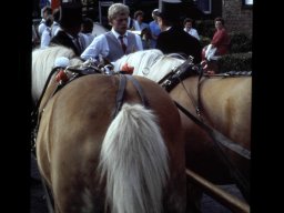 Schützenfest 1988